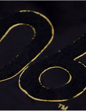 Cargar imagen en el visor de la galería, Alpha Phi Alpha PULLOVER HOODIE