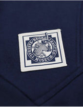 Load image into Gallery viewer, CHICAGO AMERICAN GIANTS HERITAGE HOODIE