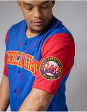 Cargar imagen en el visor de la galería, NLBM LEGACY JERSEY CHICAGO AMERICAN GIANTS