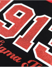 Cargar imagen en el visor de la galería, CAMISETA MANGA LARGA DELTA SIGMA THETA NEGRO