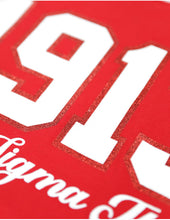 Load image into Gallery viewer, DELTA SIGMA THETA LONG SLEEVE TEE RED