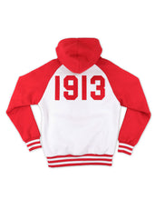 Load image into Gallery viewer, DST TWO-TONE PULLOVER HOODIE