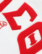 Load image into Gallery viewer, DST TWO-TONE PULLOVER HOODIE