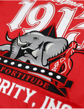 Cargar imagen en el visor de la galería, Cortavientos rojo Delta Sigma Theta