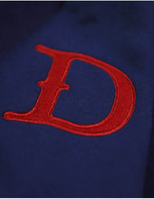 Load image into Gallery viewer, DETROIT STARS HERITAGE HOODIE