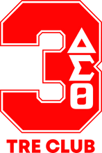 Load image into Gallery viewer, Delta Sigma Theta Line Number T-shirts 1-100