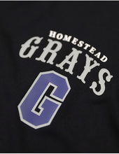 Load image into Gallery viewer, HOMESTEAD GRAYS DRY FIT TEE