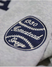 Load image into Gallery viewer, HOMESTEAD GRAYS HERITAGE HOODIE