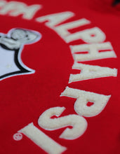 Load image into Gallery viewer, KAPPA ALPHA PSI PULLOVER HOODIE