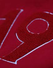 Load image into Gallery viewer, KAPPA ALPHA PSI PULLOVER HOODIE