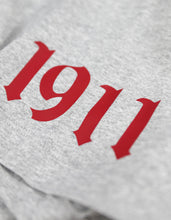 Load image into Gallery viewer, KAPPA ALPHA PSI GRAPHIC TEE