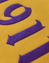 Cargar imagen en el visor de la galería, OPP TWO-TONE PULLOVER HOODIE