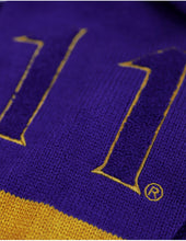 Load image into Gallery viewer, OMEGA PSI PHI V-NECK SWEATER