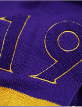 Load image into Gallery viewer, OMEGA PSI PHI V-NECK SWEATER