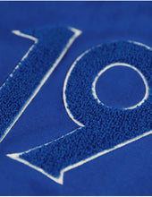 Load image into Gallery viewer, PBS PULLOVER HOODIE