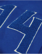 Load image into Gallery viewer, PBS PULLOVER HOODIE