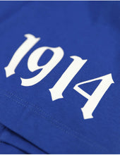 Load image into Gallery viewer, PHI BETA SIGMA GRAPHIC TEE