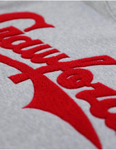 Load image into Gallery viewer, PITTSBURGH CRAWFORDS HERITAGE HOODIE