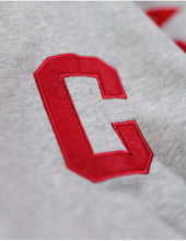 Load image into Gallery viewer, PITTSBURGH CRAWFORDS HERITAGE HOODIE