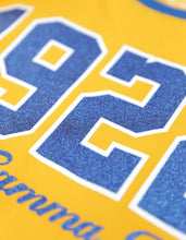 Load image into Gallery viewer, Sigma Gamma Rho Long Sleeve Tee (Gold)