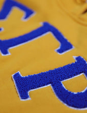 Load image into Gallery viewer, Sigma Gamma Rho Pullover Hoodie