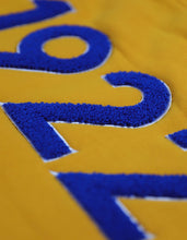Load image into Gallery viewer, Sigma Gamma Rho Pullover Hoodie