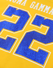 Cargar imagen en el visor de la galería, Sigma Gamma RHOLONG SLEEVE JERSEY_GOLD