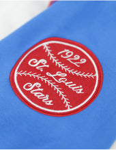 Load image into Gallery viewer, ST. LOUIS STARS HERITAGE HOODIE