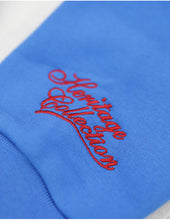 Load image into Gallery viewer, ST. LOUIS STARS HERITAGE HOODIE