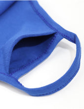Load image into Gallery viewer, ZETA PHI BETA PRINTED FACE MASK w/ FILTER POCKET