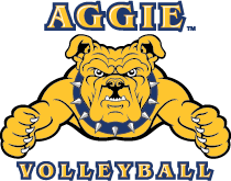 Cargar imagen en el visor de la galería, PLAYERAS DEPORTIVAS NCAT AGGIE