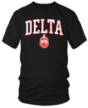 Load image into Gallery viewer, Varsity Delta With Shield