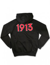 Load image into Gallery viewer, Delta Sigma Theta Pullover Hoodie