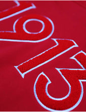 Load image into Gallery viewer, Delta Sigma Theta Pullover Hoodie