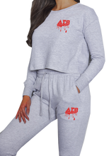 Load image into Gallery viewer, Delta Sigma Theta Drip Crop Top
