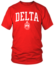 Load image into Gallery viewer, Varsity Delta With Shield