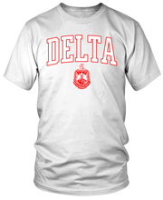 Load image into Gallery viewer, Varsity Delta With Shield