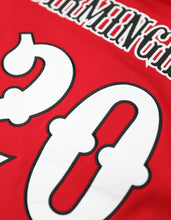 Load image into Gallery viewer, BIRMINGHAM BLACK BARONS BASEBALL JERSEY
