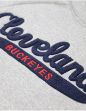 Load image into Gallery viewer, CLEVELAND BUCKEYES HERITAGE HOODIE
