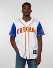 Load image into Gallery viewer, CHICAGO AMERICAN GIANTS BASEBALL JERSEY
