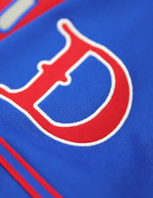 Load image into Gallery viewer, DETROIT STARS BASEBALL JERSEY
