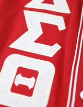 Load image into Gallery viewer, DELTA SIGMA THETA BASEBALL JERSEY_RED
