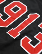 Load image into Gallery viewer, Delta Sigma Theta Bomber Jacket
