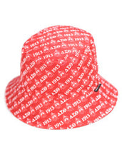 Load image into Gallery viewer, Delta Sigma Theta  REVERSIBLE BUCKET HAT
