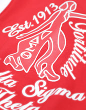 Load image into Gallery viewer, Delta Sigma Theta Fleece Jacket
