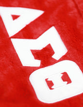 Load image into Gallery viewer, DST FUR BAG_RED
