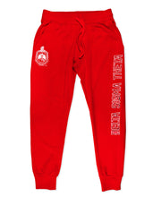 Load image into Gallery viewer, DST SEQUINS PATCH SWEATPANTS_RED
