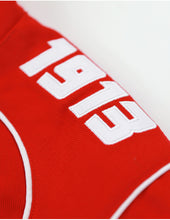 Cargar imagen en el visor de la galería, DELTA SIGMA THETA RACING TWILL JACKET RED/WHITE
