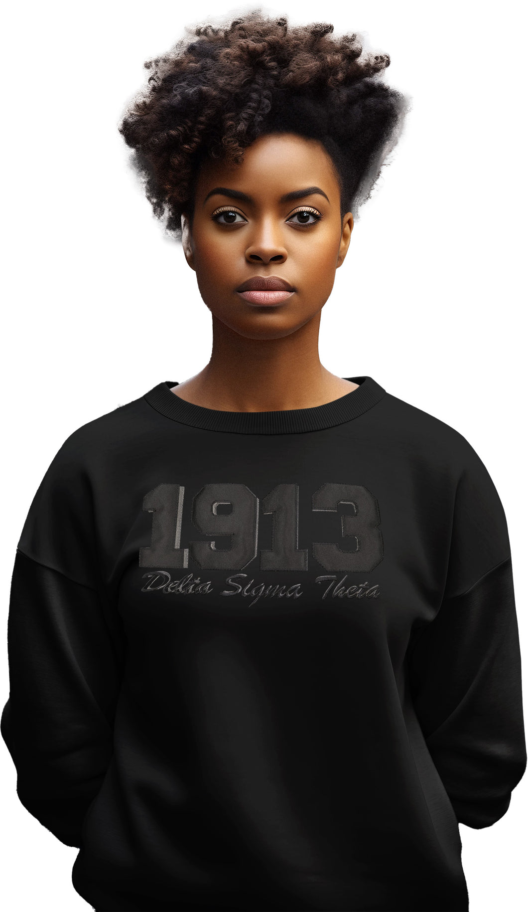 Delta Sigma Theta Embroidered Black on Black Sweatshirt