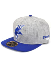 Load image into Gallery viewer, ELIZABETH CITY STATE SNAPBACK CAP
